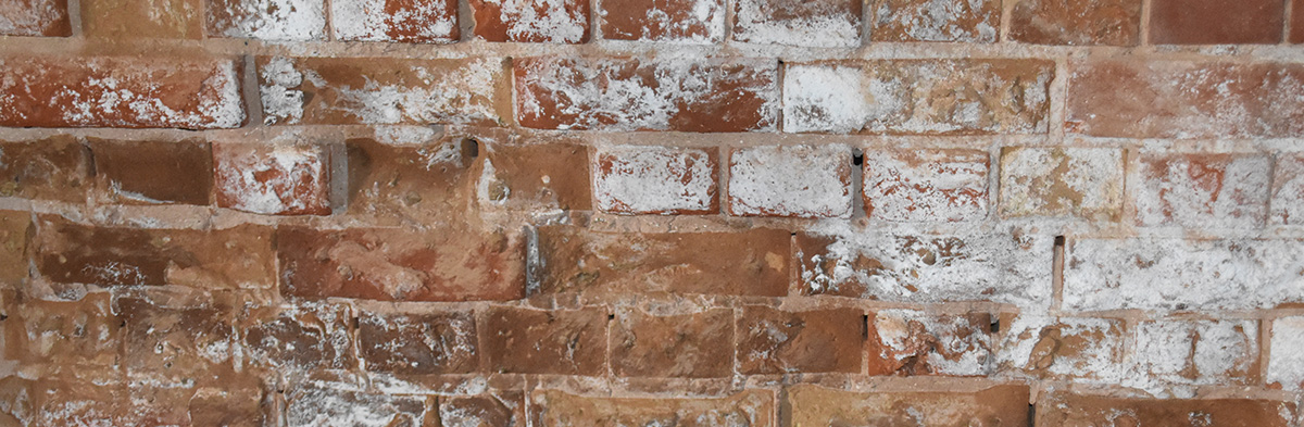 A salt-affected brick wall